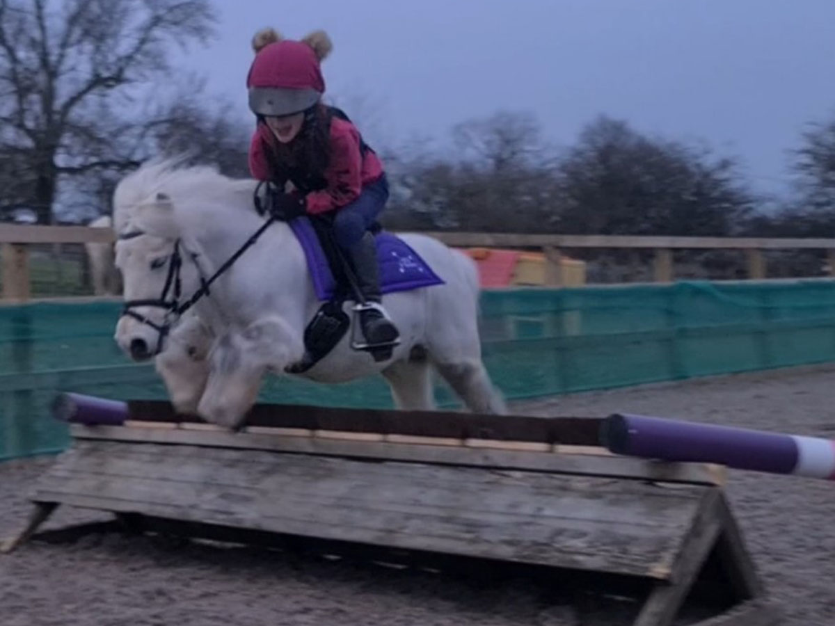 Journey to the Shetland Pony Grand National – Layla and Rosie’s Story