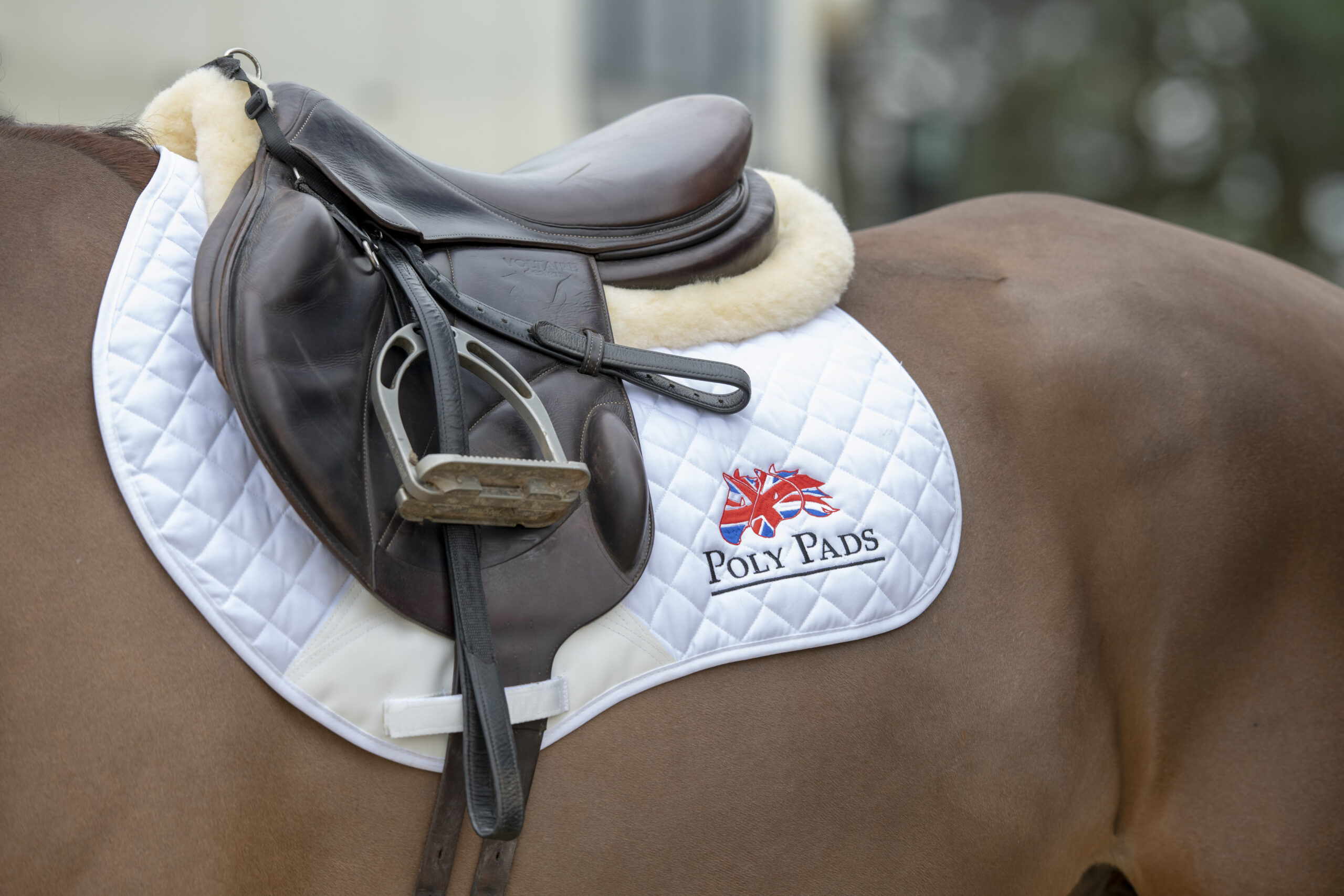 Keeping Horses Comfortable When Clipped | PolyPads